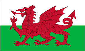 portugal vs wales 관련 보도 자료